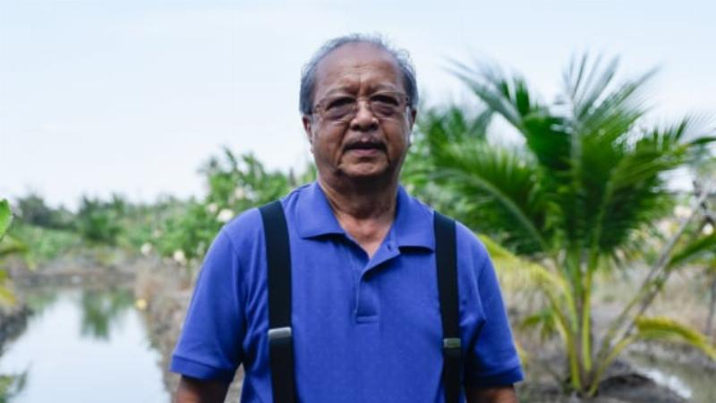Người làm vườn kiểm tra sự phát triển của cây sầu riêng con trong vườn.